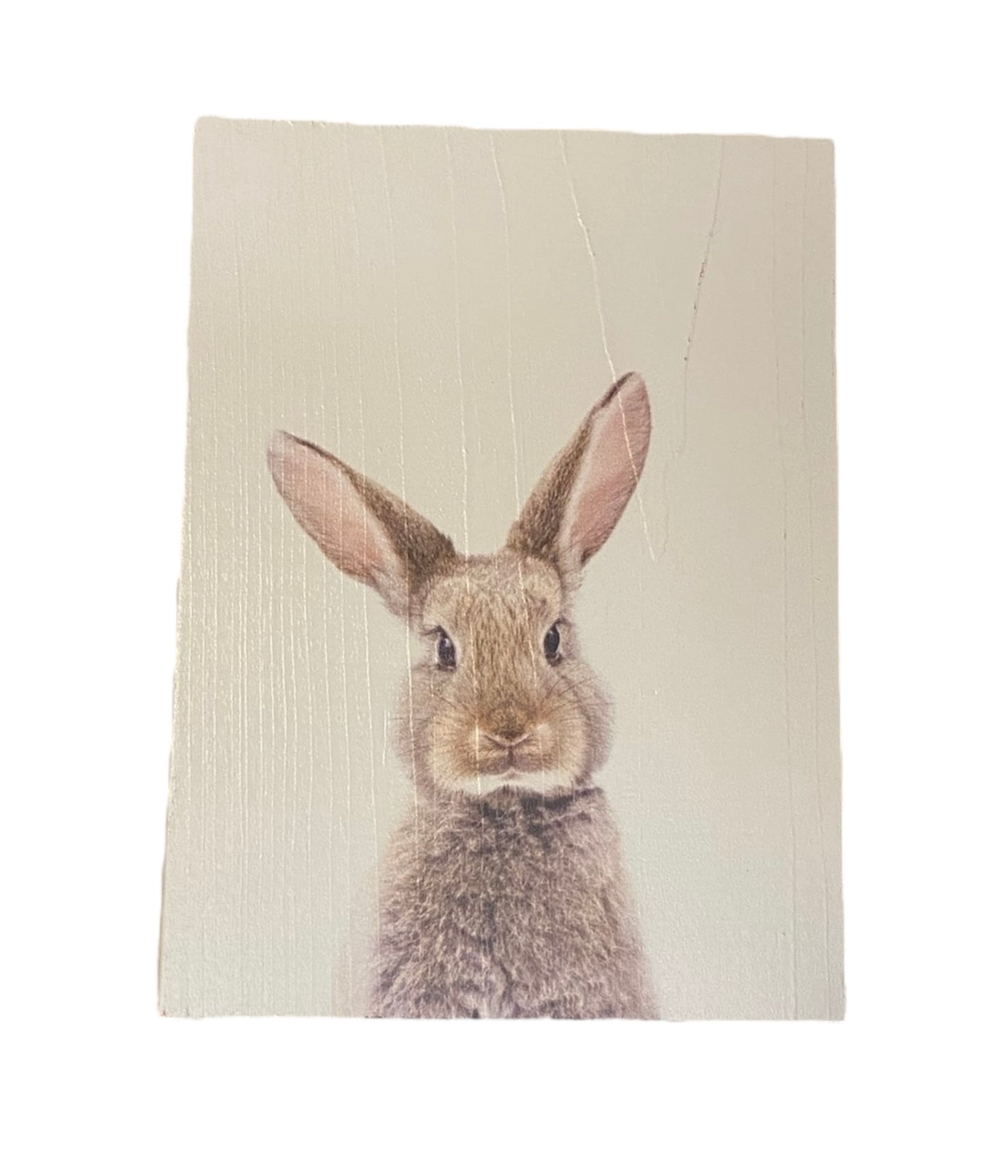 Wooden Bunny Portrait